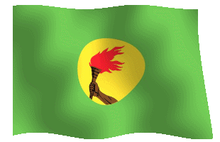 zaireflag
